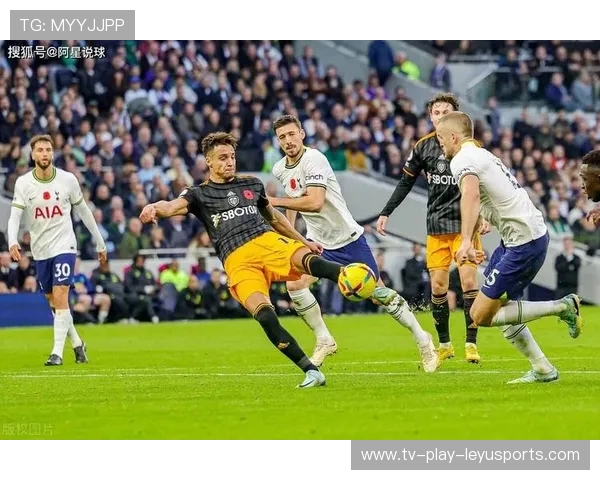 布莱顿将通过内部评估提高球员轮换效率，开启全新赛季篇章